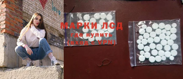 гашик Аркадак