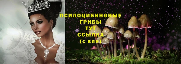 соль курить ск Краснослободск