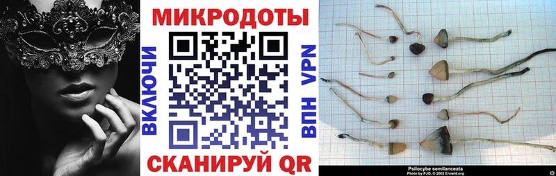 Псилоцибиновые грибы мицелий где купить это какой сайт Ильский